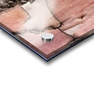 flatBark4 Acrylic print