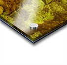 flatBark6 Acrylic print