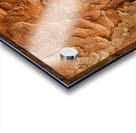 flatBark23 Acrylic print