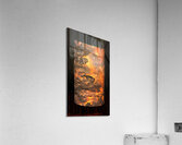 dharawal II Acrylic Print