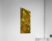 flatBark6 Acrylic Print