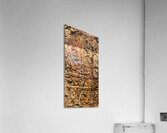 flatBark21 Acrylic Print