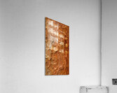 flatBark23 Acrylic Print