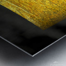  jasmund V Metal print