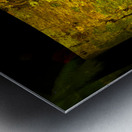 kakazo I Metal print