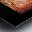 dharawal I Metal print