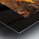 dharawal II Metal print