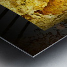 friluftsliv IV Metal print