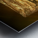 kanha IV Metal print