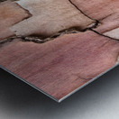 flatBark4 Metal print