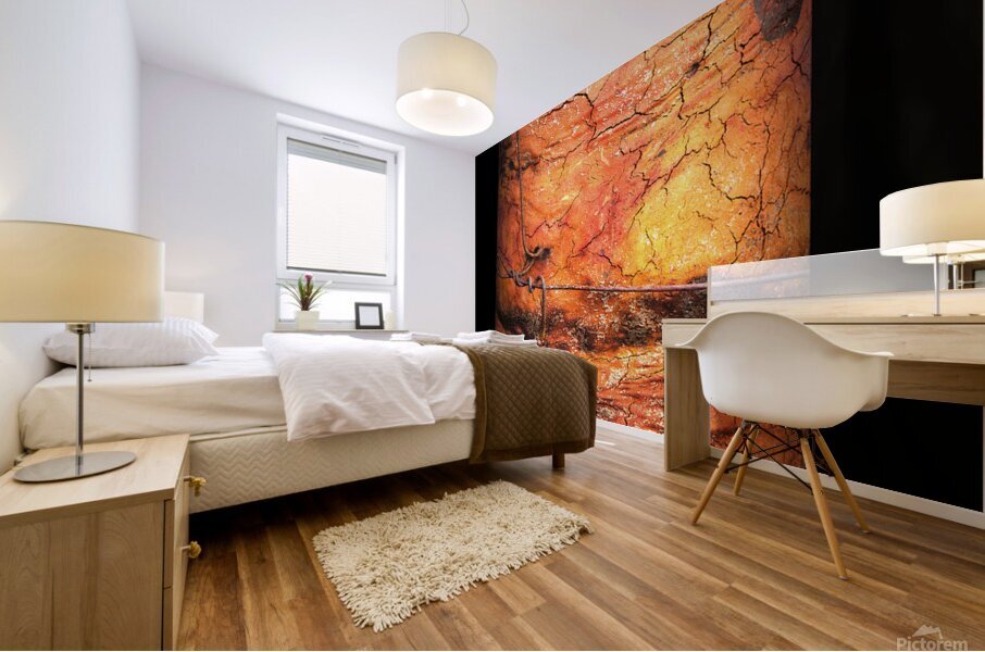 dharawal I Mural print