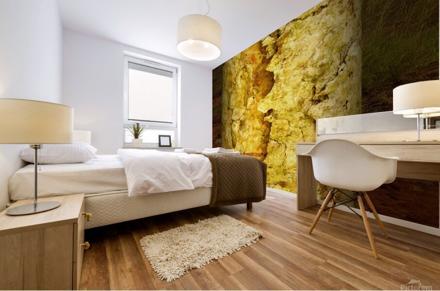 friluftsliv IV Mural print