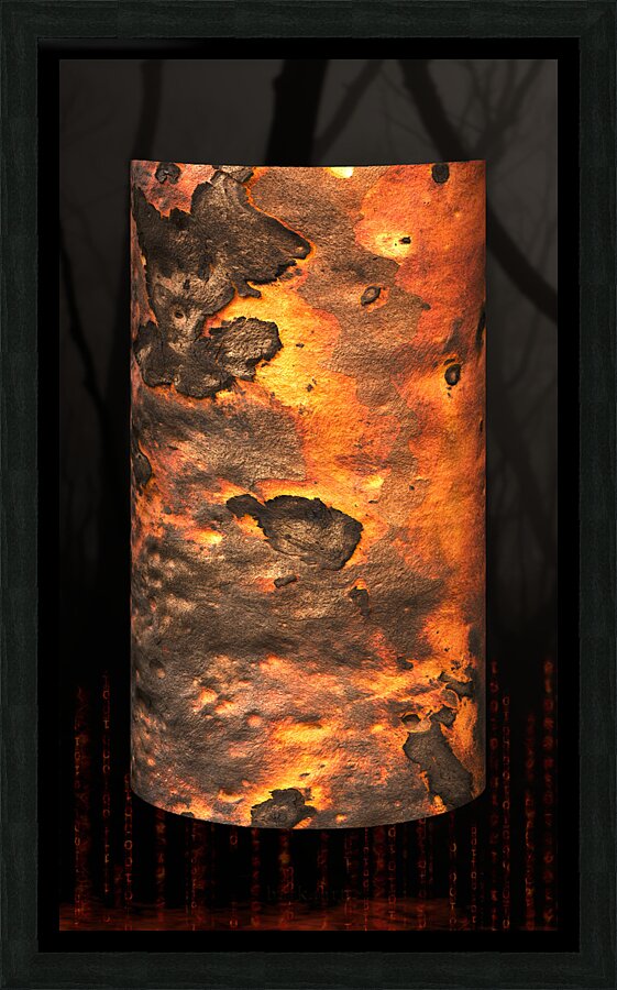 dharawal II Picture Frame print