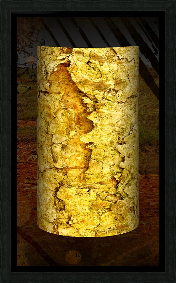 friluftsliv IV Picture Frame print