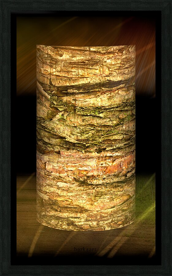 kanha IV Picture Frame print