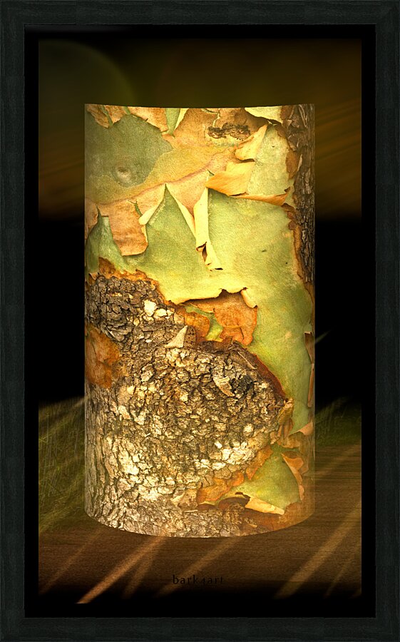 kanha II Picture Frame print
