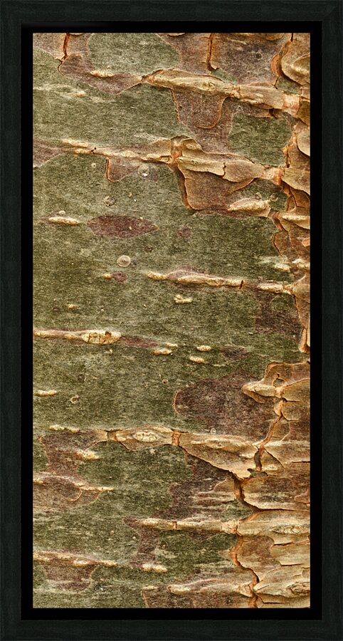 flatBark5 Picture Frame print