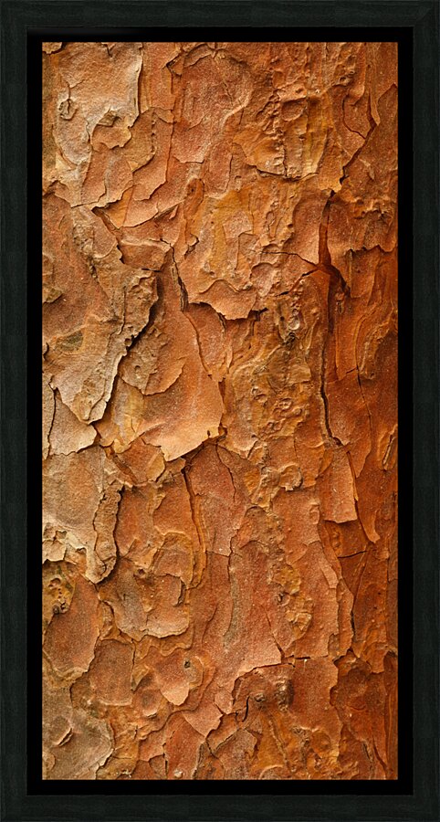 flatBark23 Picture Frame print