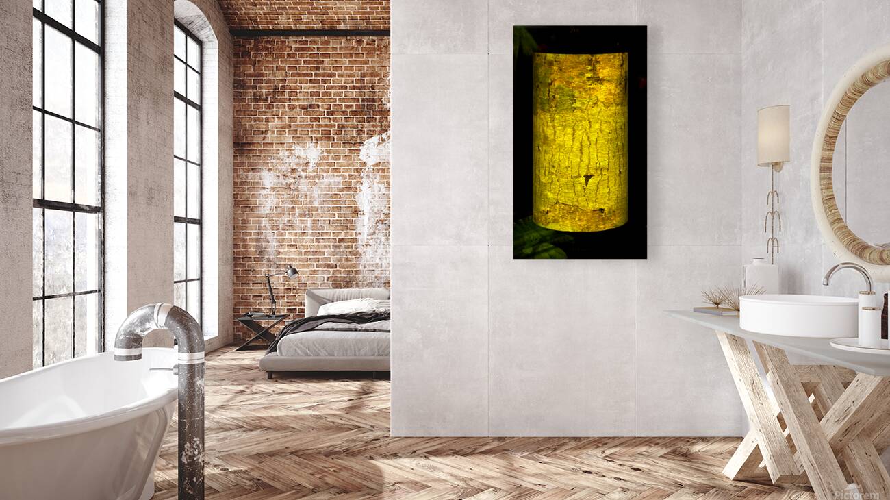 kakazo I Reproduction