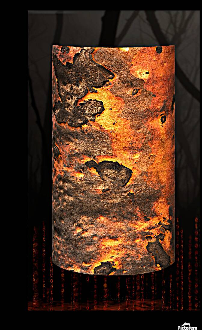 dharawal II Reproduction