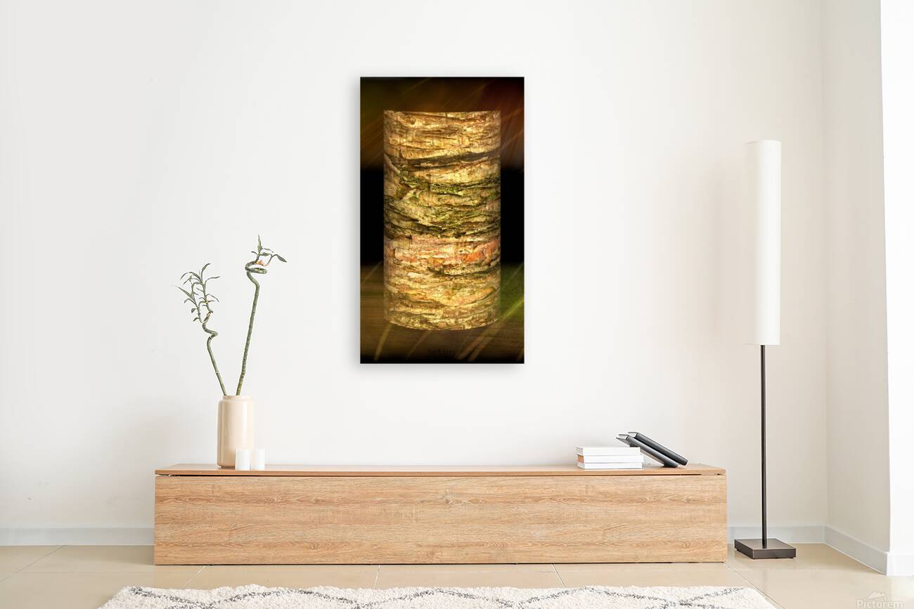 kanha IV Reproduction