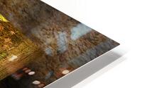 akasawa I HD Metal print