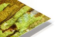 flatBark3 HD Metal print