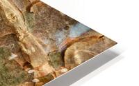 flatBark5 HD Metal print