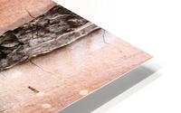 flatBark4 HD Metal print