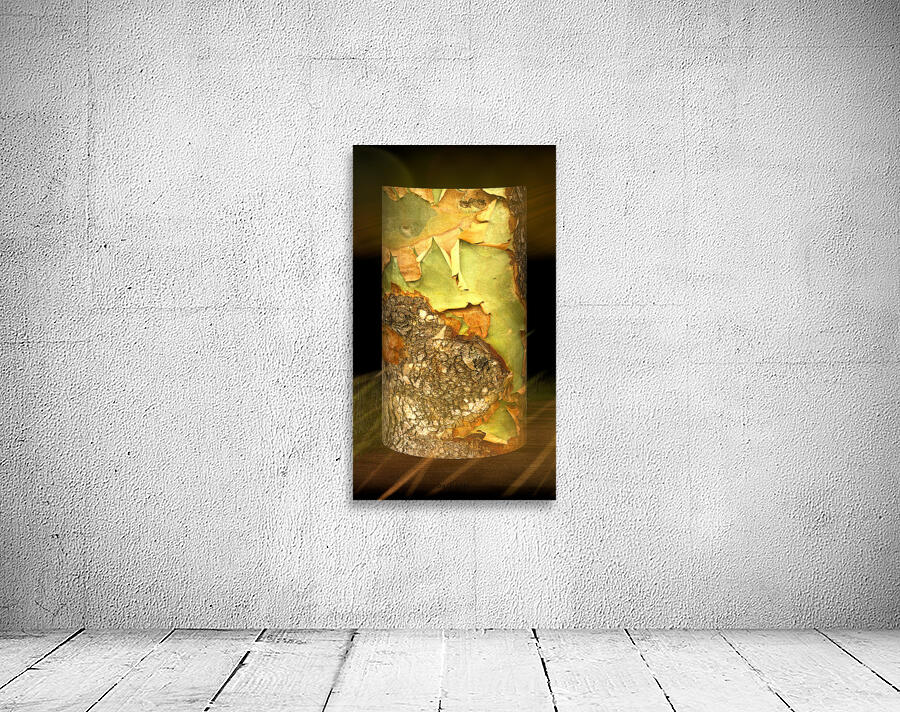 kanha II Wall Preview