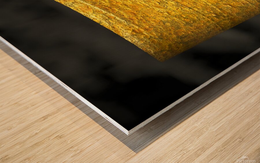  jasmund V Wood print