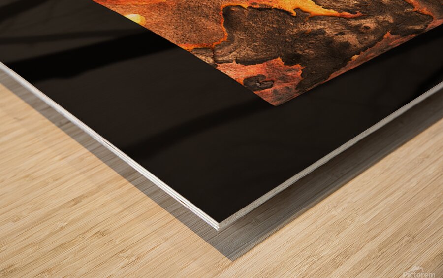 dharawal II Wood print