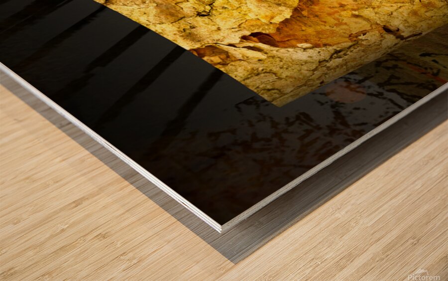 friluftsliv IV Wood print