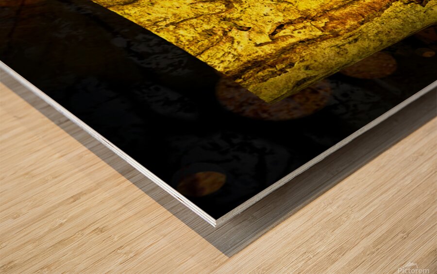 friluftsliv I Wood print