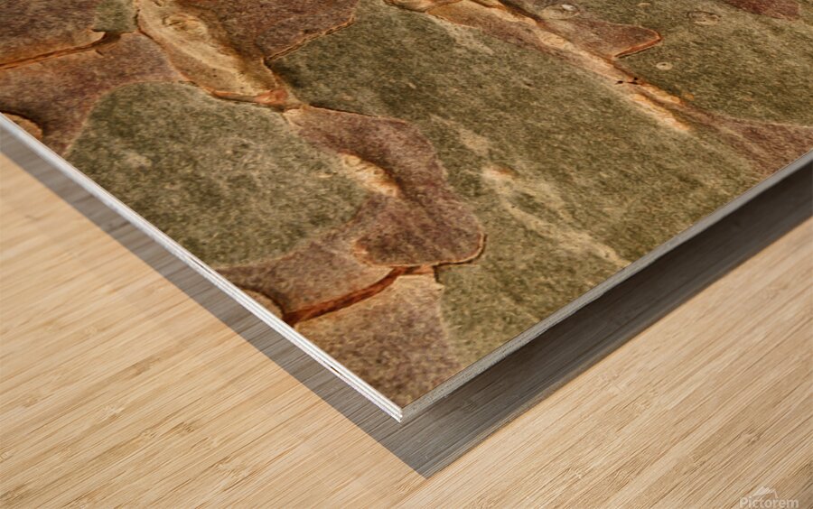 flatBark5 Wood print