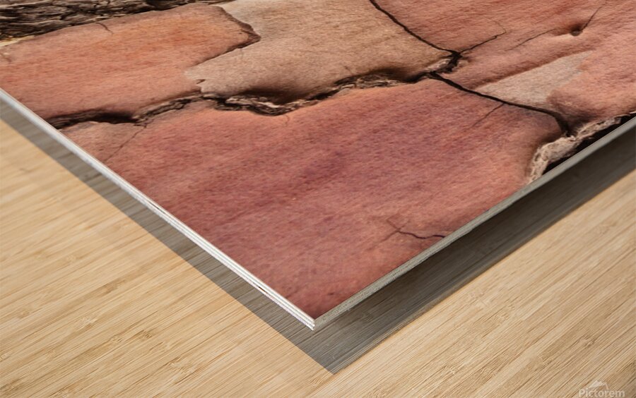 flatBark4 Wood print