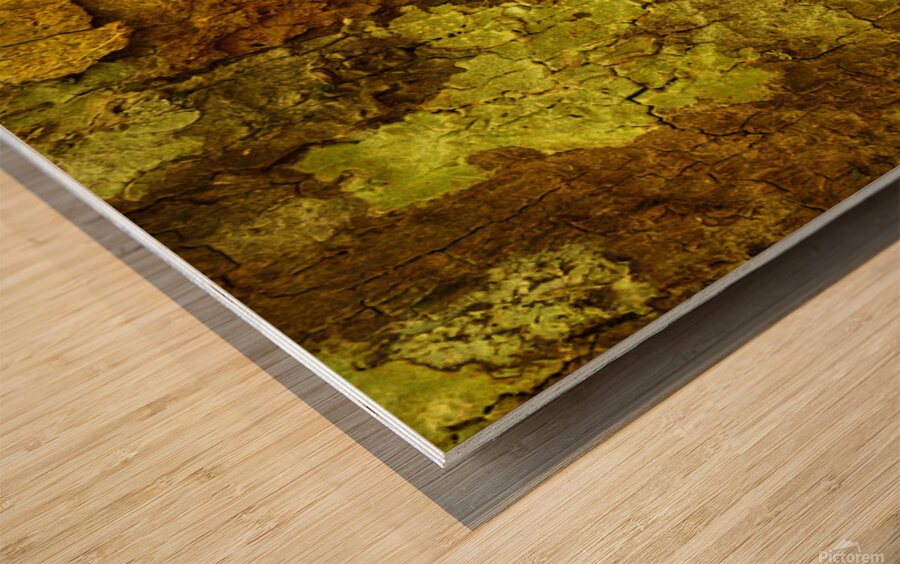 flatBark6 Wood print