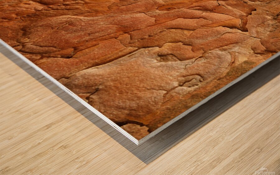 flatBark23 Wood print