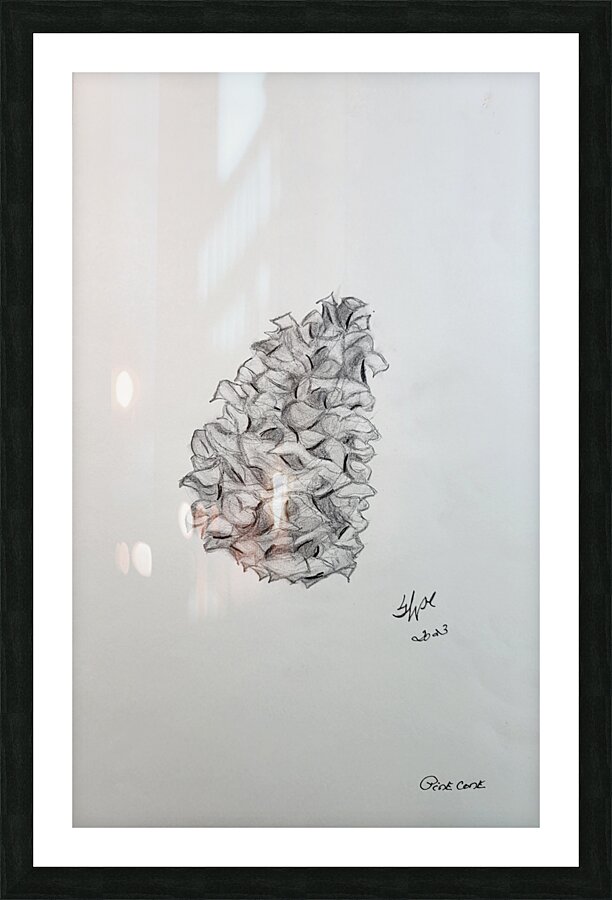 Private-Exhibit-4 pine cone Picture Frame print