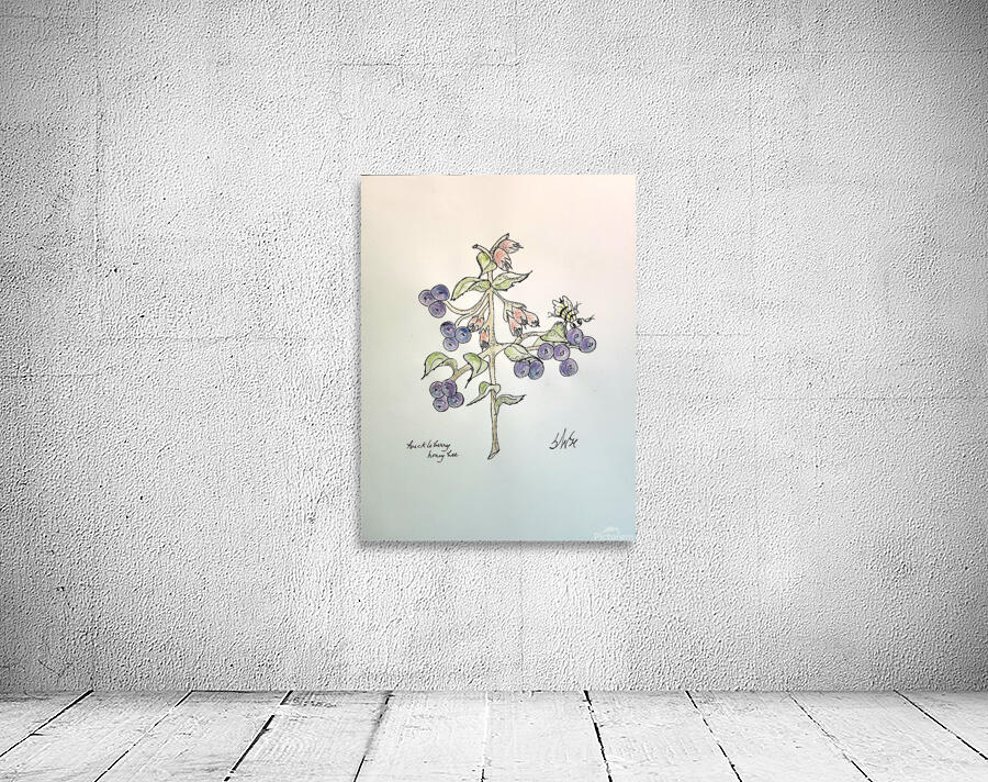 Huckleberry  Wall Preview