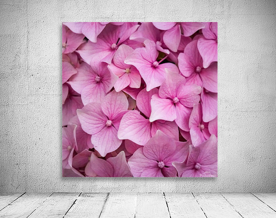 INTENTION Comfort Wall Preview