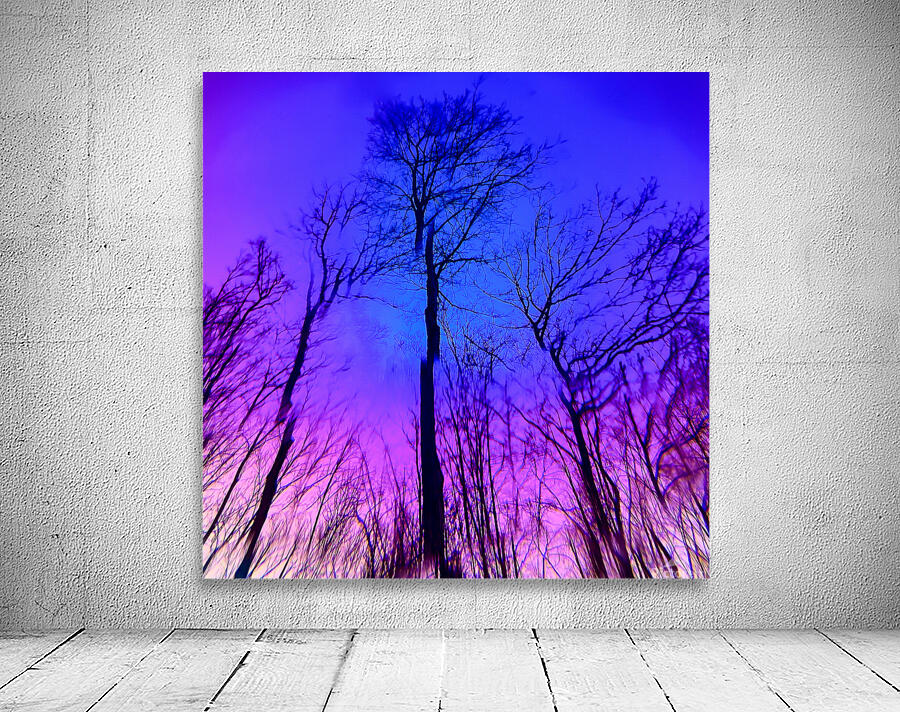 INTENTION Manifestation Wall Preview