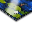 lily pond  Acrylic print