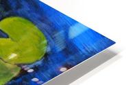 lily pond  HD Metal print