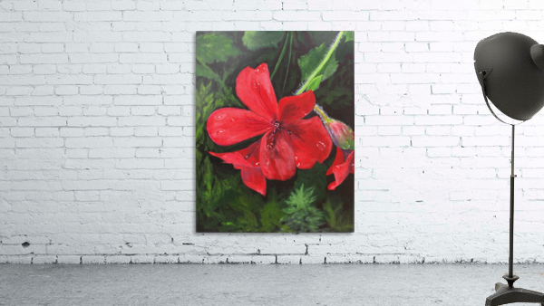 Irish Red Flower Wall Preview