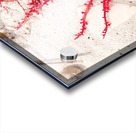 Naples Sand and Surf 30 Acrylic print