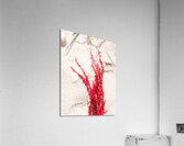 Naples Sand and Surf 33 Acrylic Print