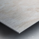 Naples Sand and Surf 1 Metal print