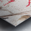 Naples Sand and Surf 33 Metal print