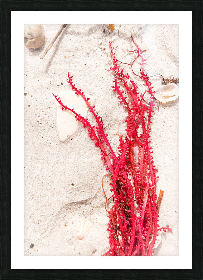 Naples Sand and Surf 30 Picture Frame print